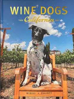 Wine Dogs California 5